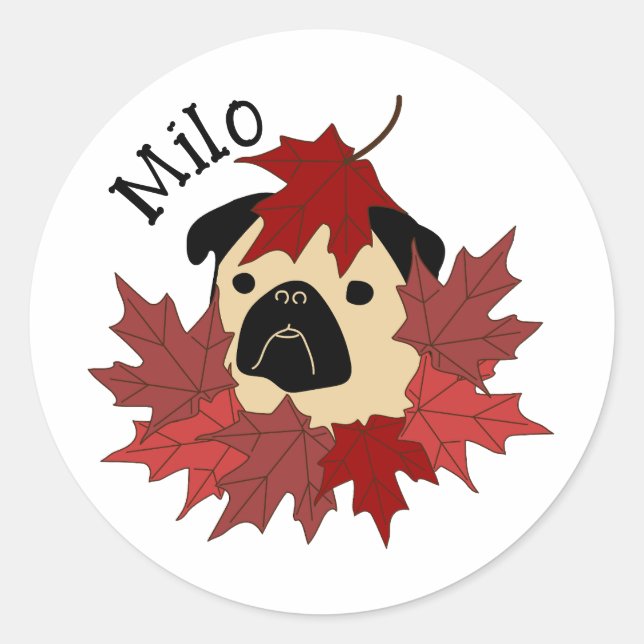 Fall Pug with Leaves Classic Round Sticker (Front)