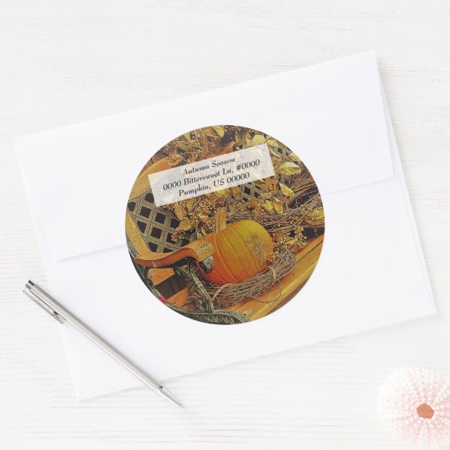 Fall / Pumpkin & Bittersweet Vine / Envelope Seals (Envelope)