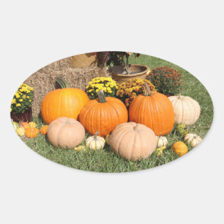 Fall Pumpkins and Mums Oval Sticker