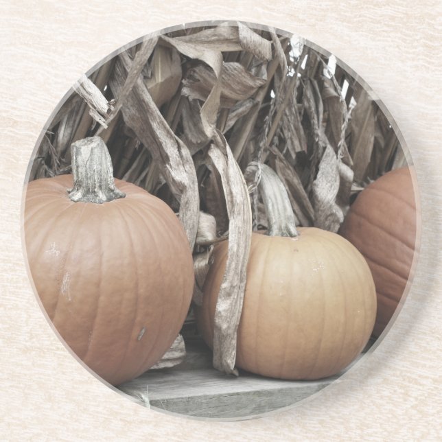 Fall Pumpkins Cornstalks Nature Coaster (Front)