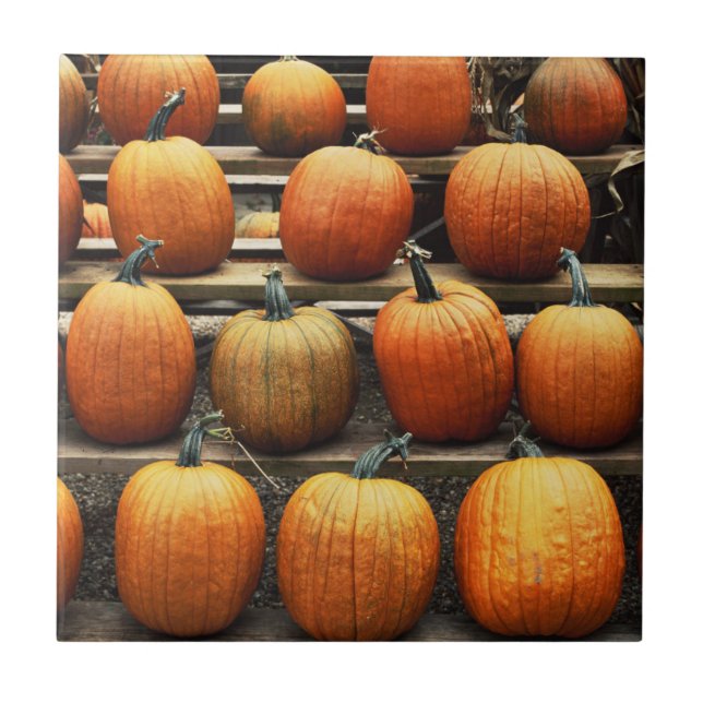Fall pumpkins tile (Front)