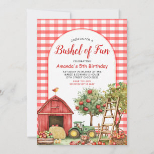Fall Red Gingham Bushel of Fun Birthday  Invitation