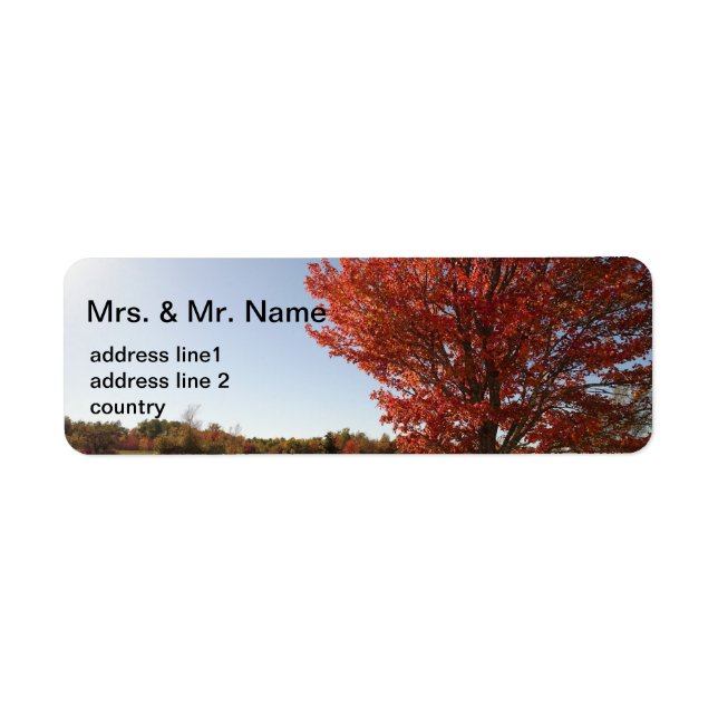 Fall red maple tree (Front)