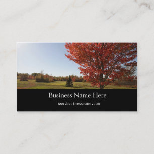 Fall red maple tree landscape business card