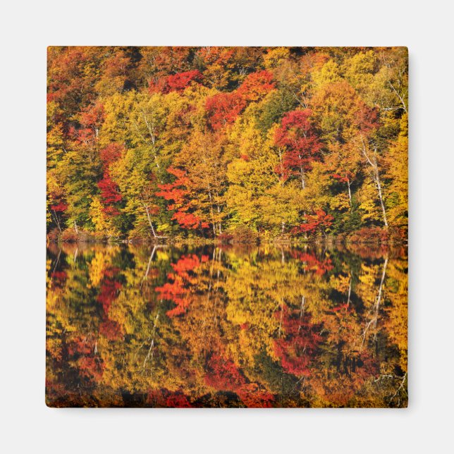 Fall Reflection on Russell Pond | New Hampshire Magnet (Front)