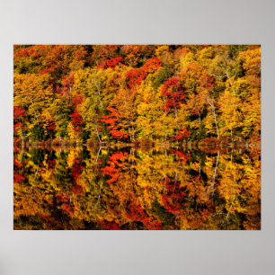 Fall Reflection on Russell Pond   New Hampshire Poster