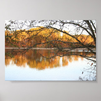 Fall Reflections Poster