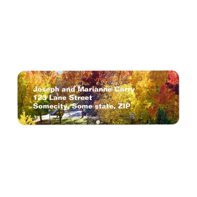 Fall  return adress Label (Front)