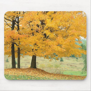 Fall Scene Mouse Mat