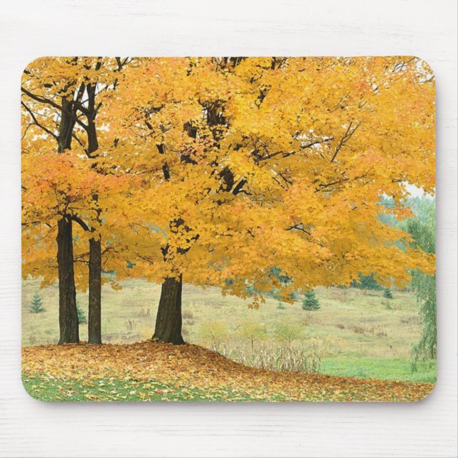 Fall Scene Mouse Mat (Front)