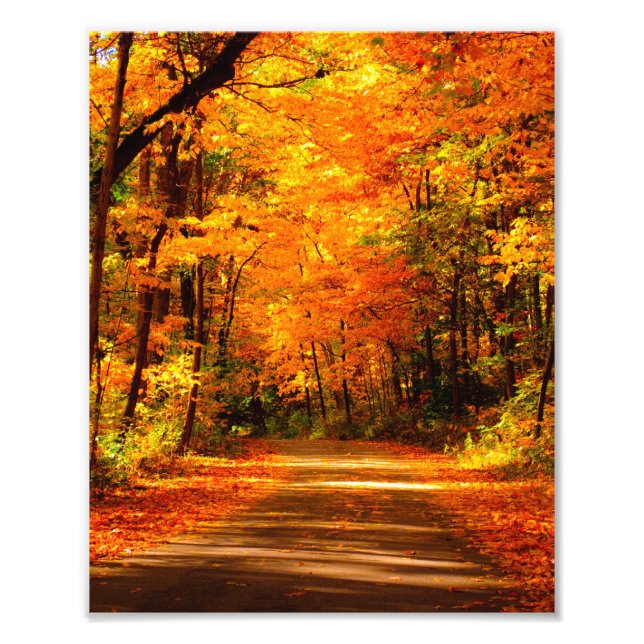 fall scene photo print (Front)