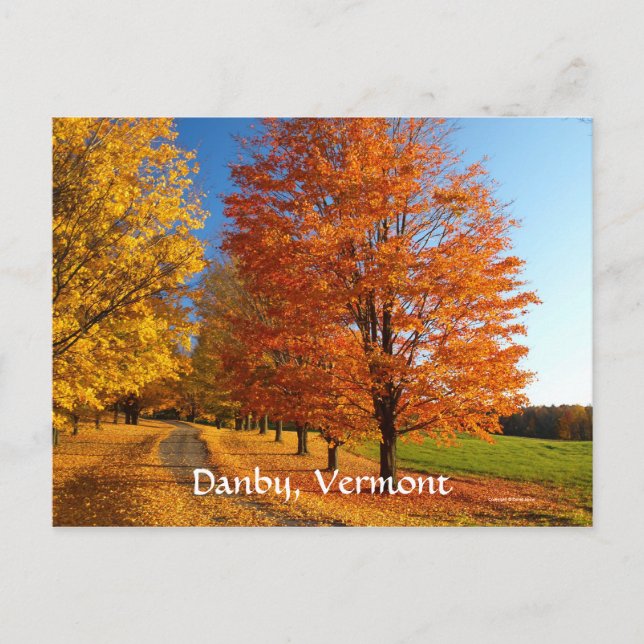 Fall Scene Postcard (Front)