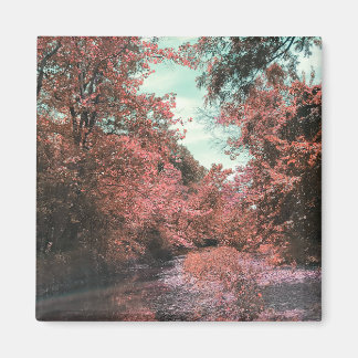 Fall Scenic Path Magnet