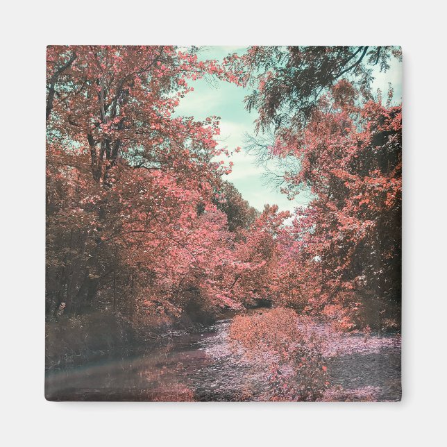 Fall Scenic Path Magnet (Front)