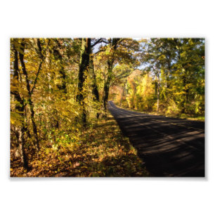 fall scenic photo print