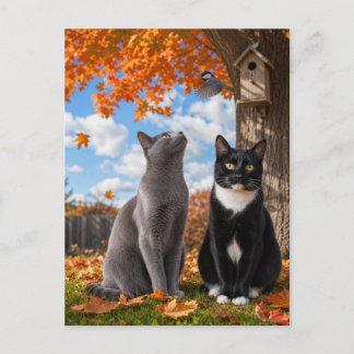 Fall Season Cats Sitting Under Maple Tree Postcard