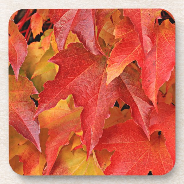 Fall Season Coaster (Front)