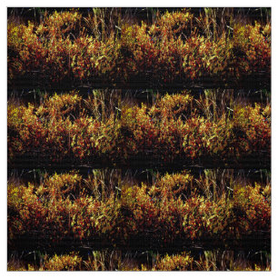 "Fall Season of Gold" Fabric
