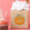 Fall Season Pumpkin Design 1 Address Stickers