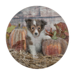 Fall Sheltie Puppy Cutting Board