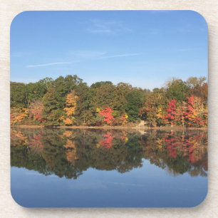 Fall Splendor Coaster Set