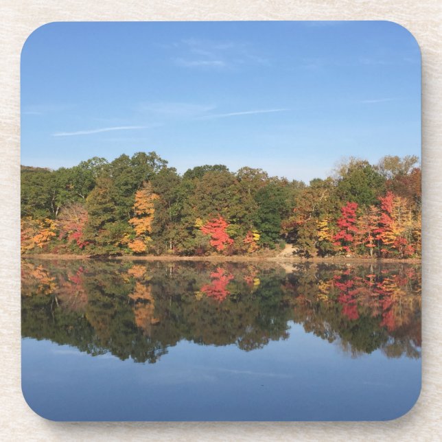 Fall Splendor Coaster Set (Front)