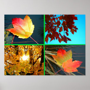 Fall Splendor Poster