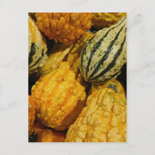 Fall Squash Postcard