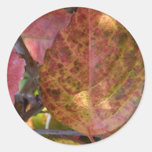 Fall Stickers