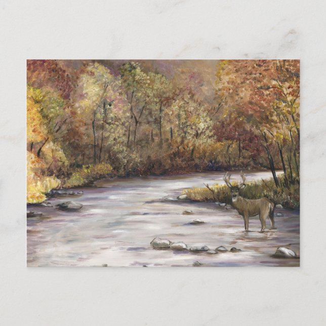 Fall Stream Art Postcard (Front)