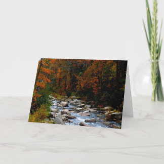 Fall stream Blank Greeting Crad Card
