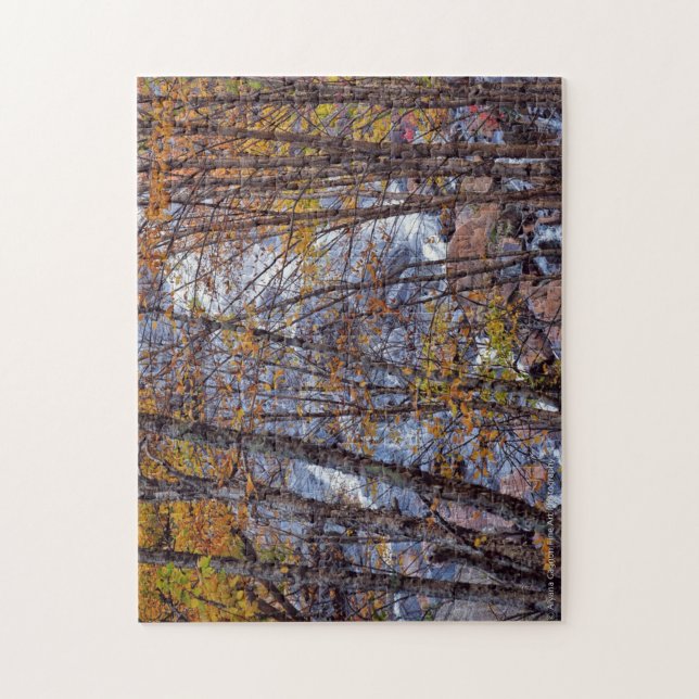 Fall Stream Puzzle Small (Vertical)