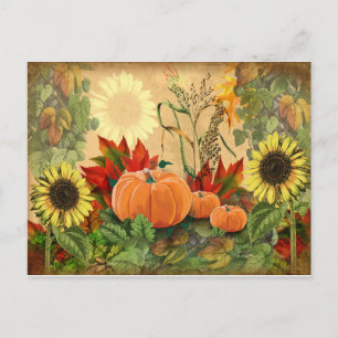 Fall Sunflower Pumpkin Autumn Postcard