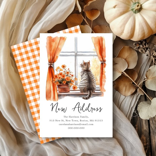 Fall Tabby Cat | We've Moved New Address  Announcement (Creator Uploaded)
