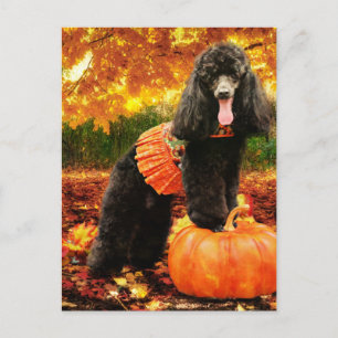 Fall Thanksgiving - Gidget - Poodle Holiday Postcard