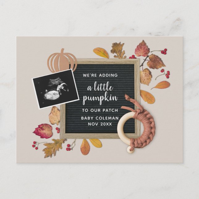 Fall Thanksgiving Pumpkin Baby Pregnancy Birth Ann Holiday Postcard (Front)
