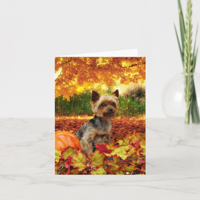 Fall Thanksgiving - Tucker - Yorkie Holiday Card (Front)