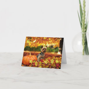 Fall Thanksgiving — Tucker — Yorkie Holiday Card
