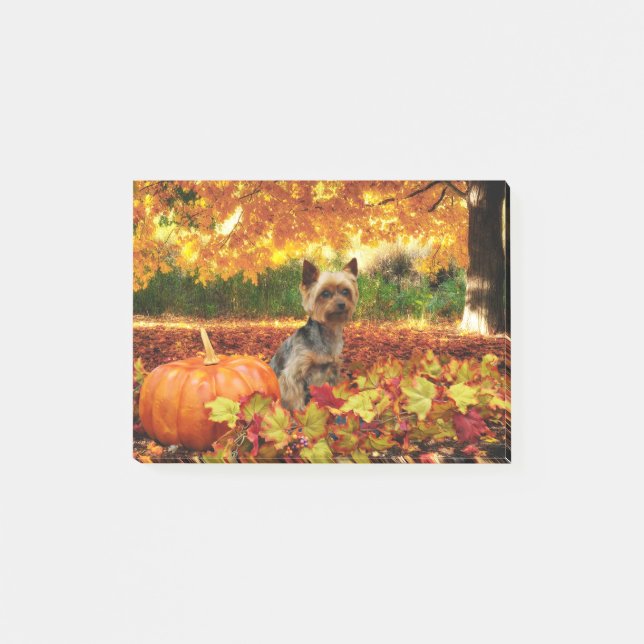 Fall Thanksgiving - Tucker - Yorkie Post-it Notes (Front)