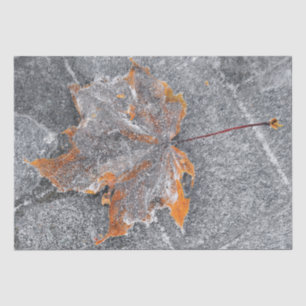 Fall Themed Maple Leaf Orange Grey Autumn Tissue Paper