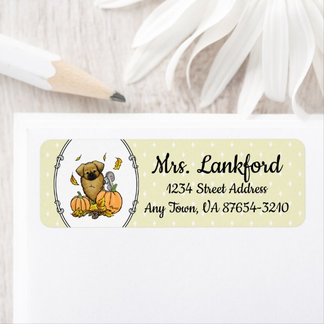 Fall Tibetan Spaniel (Brown) Dog Pumpkins Cute (Insitu)