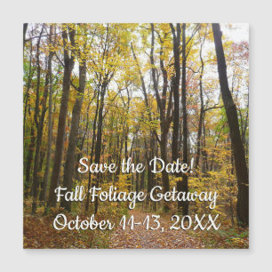 Fall Trail and Golden Leaves at Laurel Hill Park