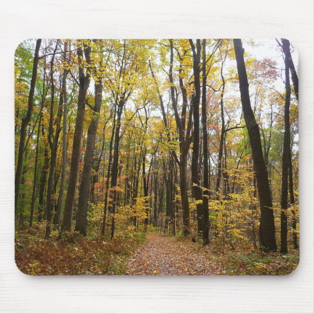 Fall Trail and Golden Leaves at Laurel Hill Park Mouse Mat (Front)