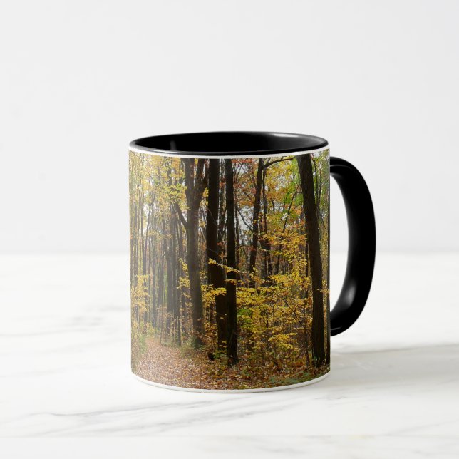 Fall Trail and Golden Leaves at Laurel Hill Park Mug (Front Right)
