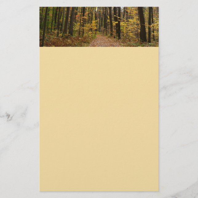 Fall Trail and Golden Leaves at Laurel Hill Park Stationery (Front)
