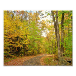Fall Trail Photo Print