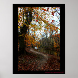 Fall Tree Along Winding Path Poster