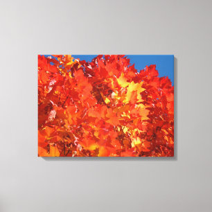 Fall Tree Leaves Canvas prints Orange Autumn