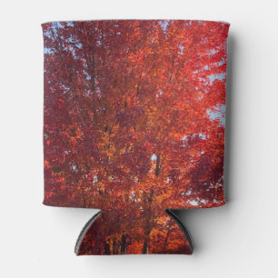 Fall Tree Picture Can Cooler