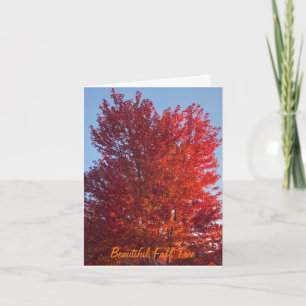 Fall Tree Picture Note Card